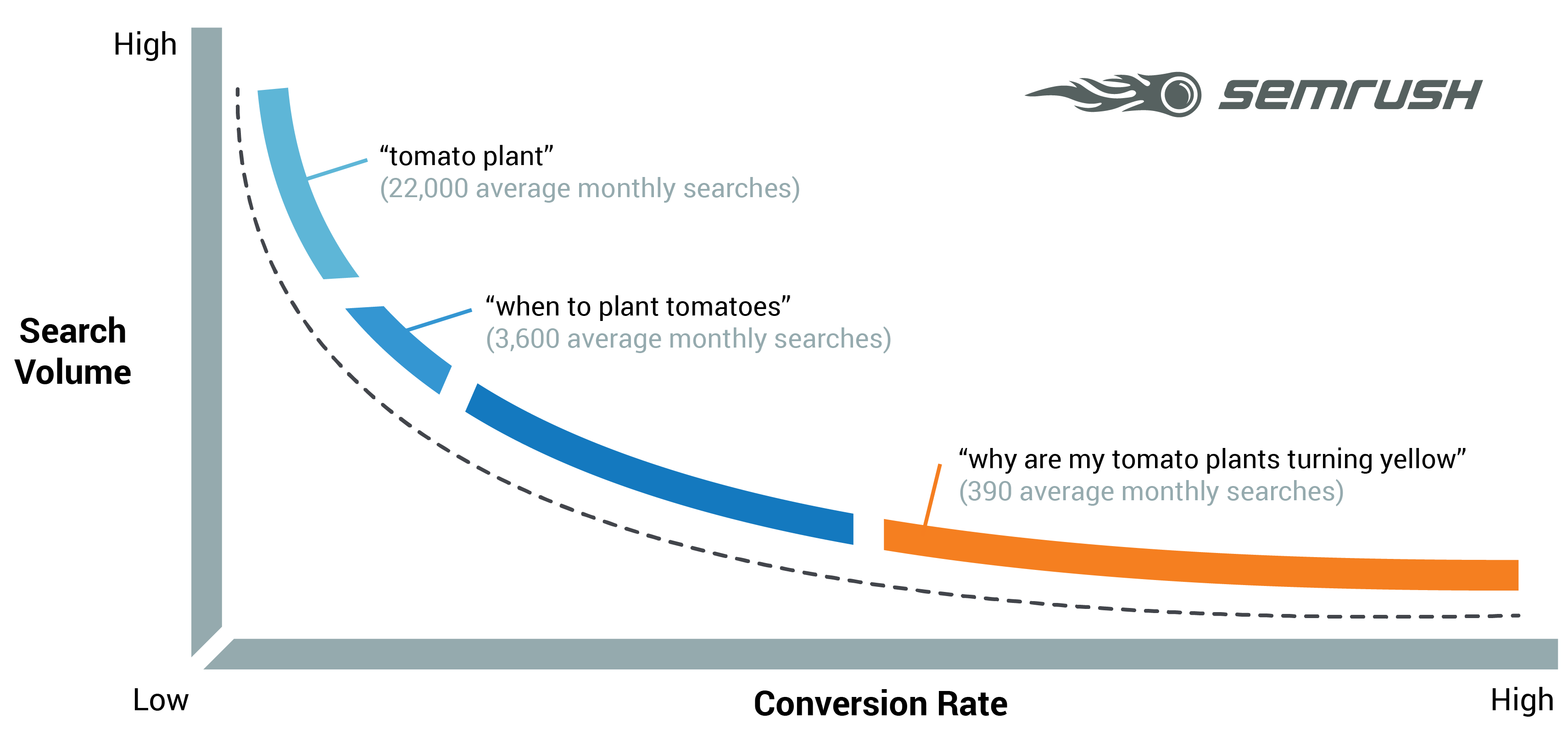 How to Find Long-Tail Keywords and Rank for them