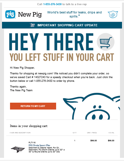 abandonment email example. image from practical ecommerce